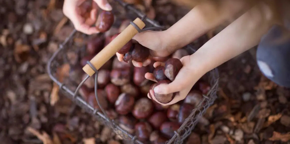 5 soluzioni naturali per il trattamento delle emorroidi