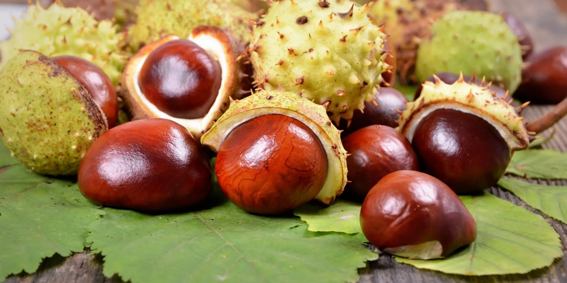 Hemorrhoid treatment without a prescription: 5 solutions